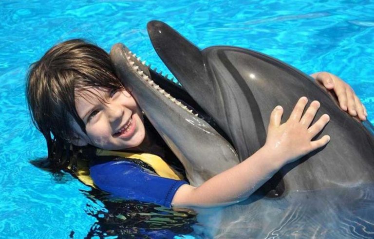 Shooting Dauphins Hurghada Dream 1 870x555 1 1