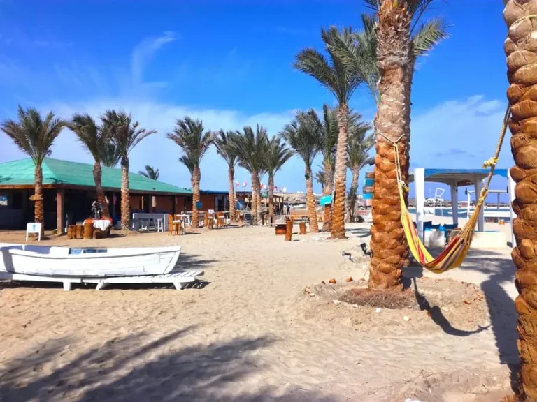 product m24954 rom urghada norkeling trip in 924 69b0052e0e098 6850864ab267