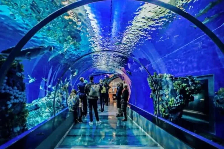 product m27558 urghada rand quarium oo icket 247 697ca2fc9a591 4e4af55a7bc3